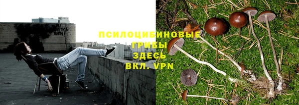 MESCALINE Армянск