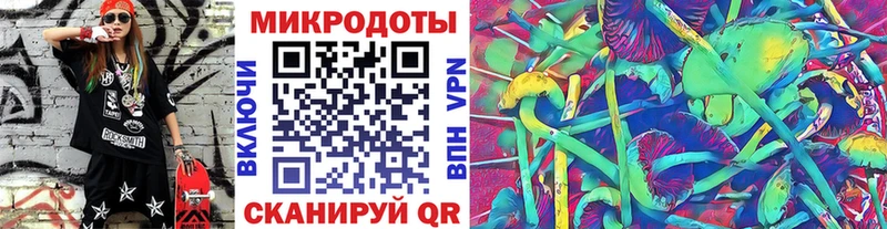 сайты даркнета клад  Сясьстрой  Псилоцибиновые грибы Psilocybe  купить закладку 